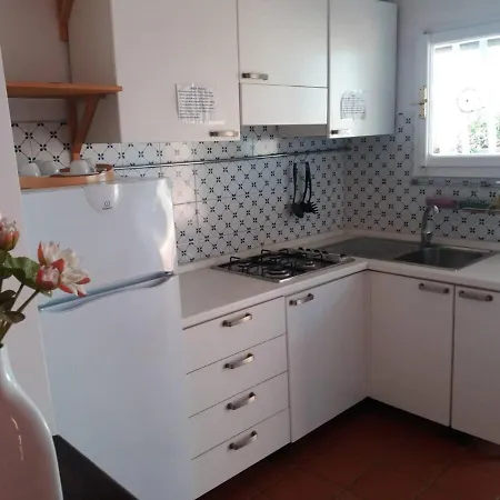 Penthouse Papavero Int21